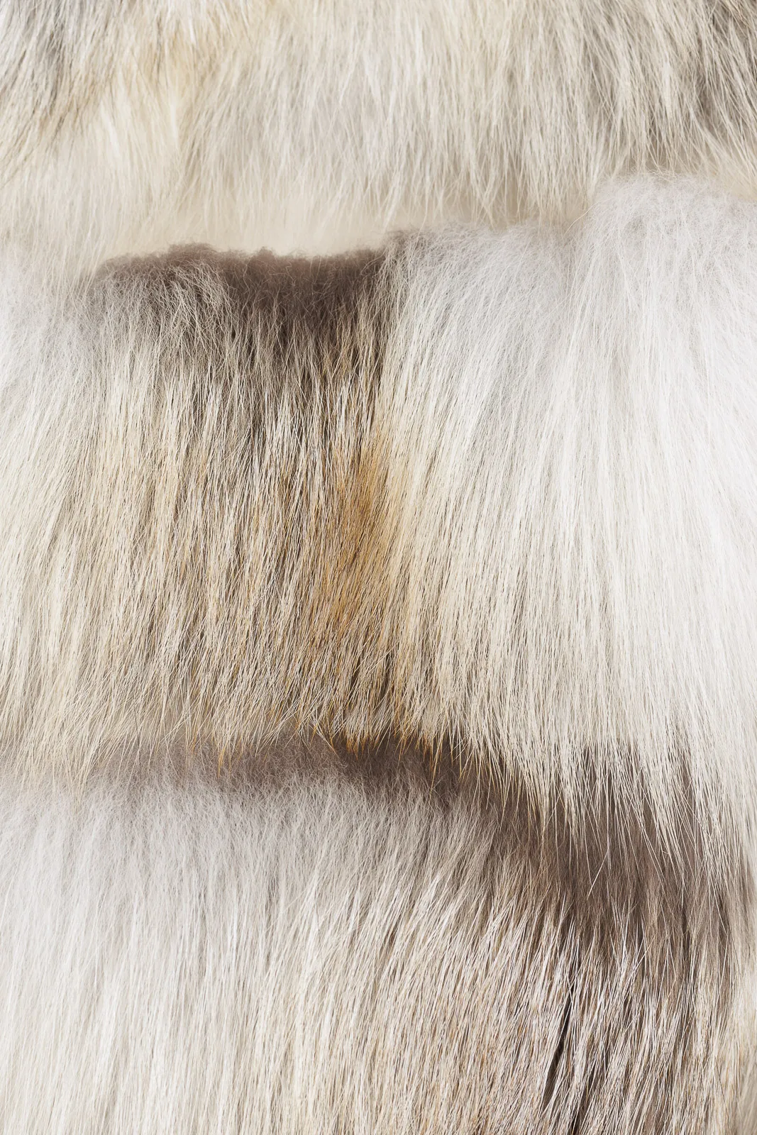 Fox fur coat with three-quarter sleeve